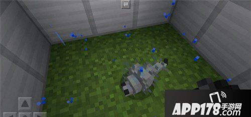 我的世界小型生物盘点 小型生物排行