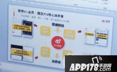 微博v+会员多少钱 微博v+会员特权有哪些1