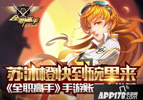 全职高手账号卡 