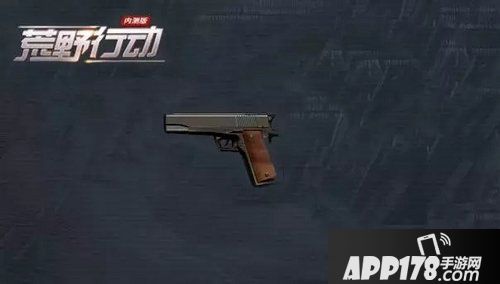 荒野行动P9手枪使用攻略 荒野行动P9手枪怎么样