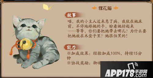 阴阳师狸花猫怎么样 狸花猫获得攻略