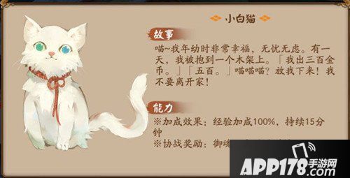 阴阳师小白猫怎么样 小白猫获得攻略