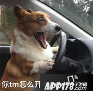 敲里吗是什么意思 敲里吗表情包分享2