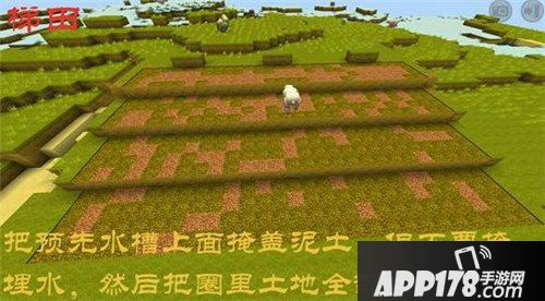 迷你世界梯田制作方法 迷你世界梯田怎么做