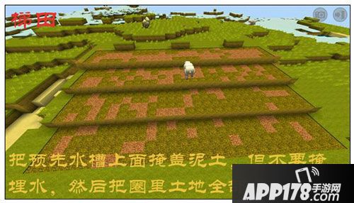 迷你世界