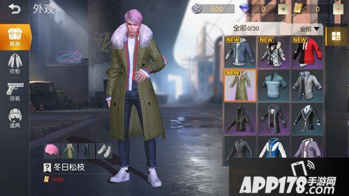 荒野行动冬日松枝套装多少钱 冬日松枝获得攻略