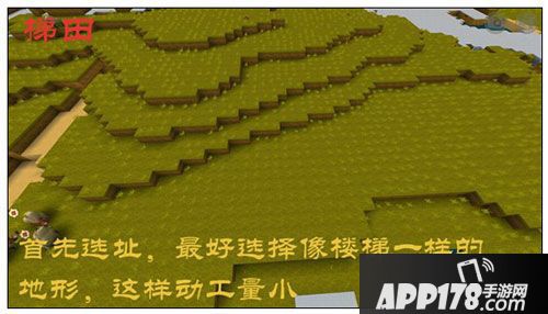迷你世界