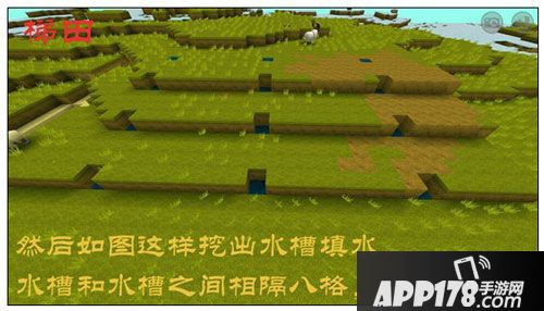 迷你世界