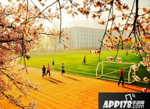 侠客风云传单机版介绍 