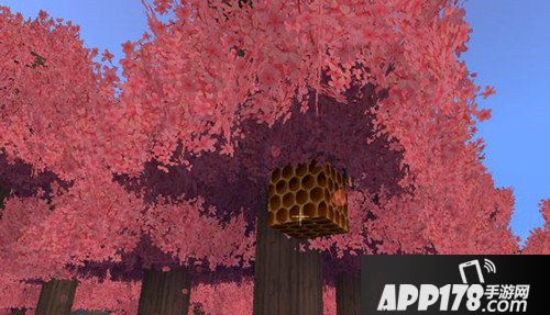 迷你世界蜜蜂会蜇人吗 迷你世界蜜蜂怎么打