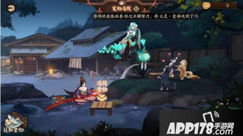 阴阳师怎么获得宠物粮食 如何获得新的宠物