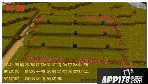 迷你世界