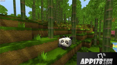 迷你世界熊猫吃什么 熊猫食物怎么获得