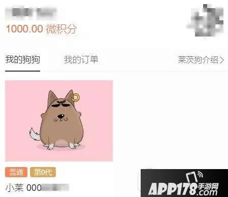 百度莱茨狗怎么购买 百度莱茨狗购买方法大全3