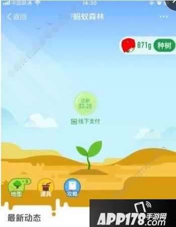 支付宝合种树名字怎么取 支付宝合种树名字大全1