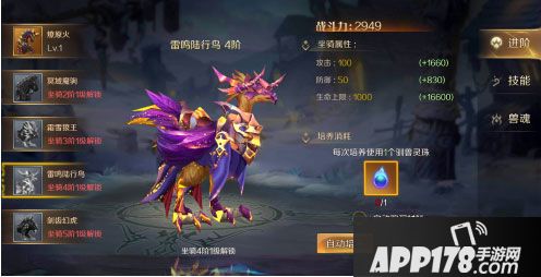 神创大陆陆行鸟