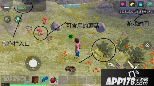创造与魔法生存攻略 游戏生存技巧解析