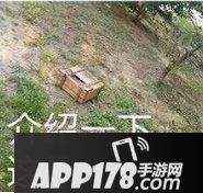 吃鸡