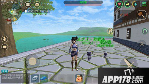 创造与魔法猫怎么抓 创造与魔法猫在哪