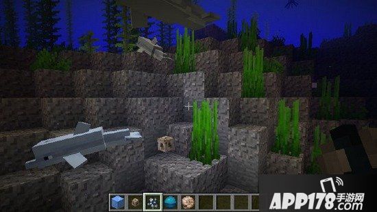 我的世界18w15a发布 海豚登场水质区分