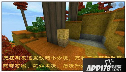 迷你世界怎么采集红衫木 迷你世界采集红衫木技巧
