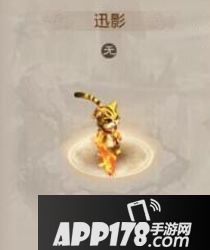 问道手游迅影属性图鉴 迅影资料解析