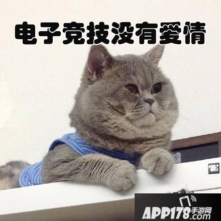 游戏