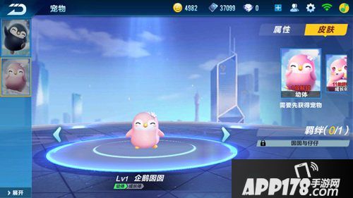 QQ飞车手游4月26日宠物系统正式开启 仔仔囡囡与你共度盛夏