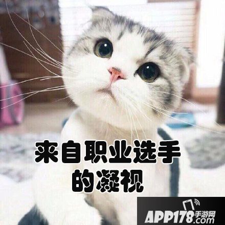 游戏