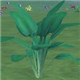 创造与魔法菠菜介绍 菠菜属性图鉴