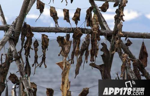 英魂之战维京后裔