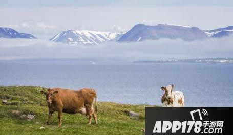 英魂之战维京后裔