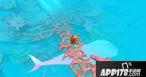 海岛纪元首测关服