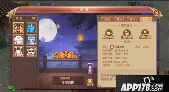 自由幻想手游刺客带什么宠物好 自由幻想手游刺客宠物技能搭配