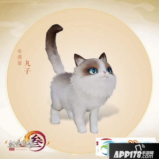 剑网3猫咪挂宠好看吗？猫咪挂宠外观详解