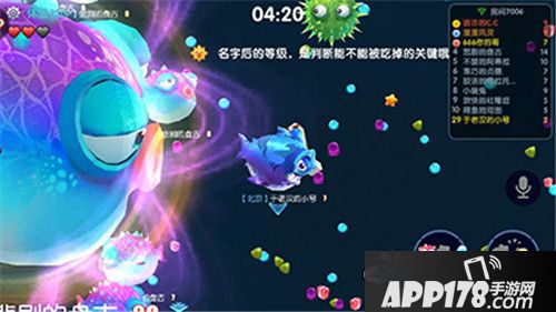 海底大作战齐聚