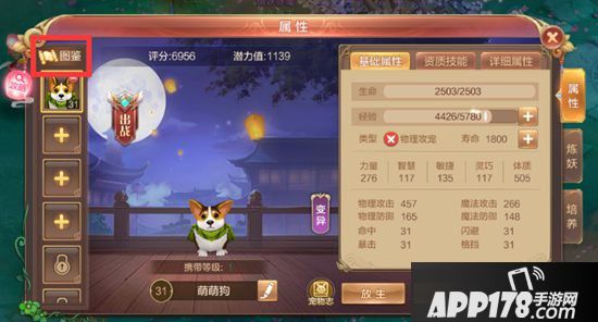 自由幻想手游宠物获取 宠物怎么获得