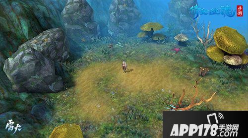 嘉年华全面来袭 倩女幽魂手游神兵系统八月再升级！