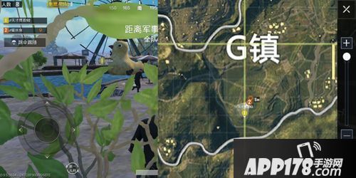 绝地求生刺激战场游乐园打野攻略 游乐园打野详解
