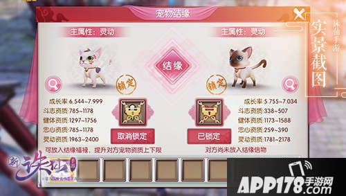 诛仙手游宠爱一夏今日上线