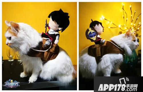 风色世界萌宠海选