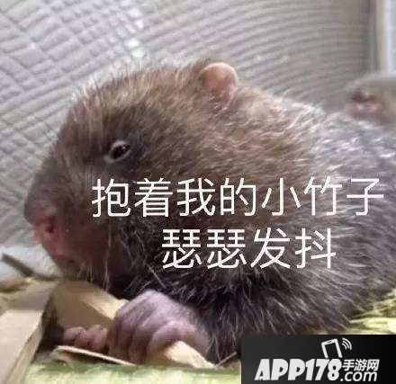 我叫mt4中秋喜团圆 答题送好礼