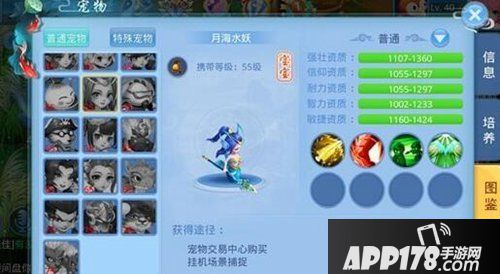 天书奇谈手游宠物