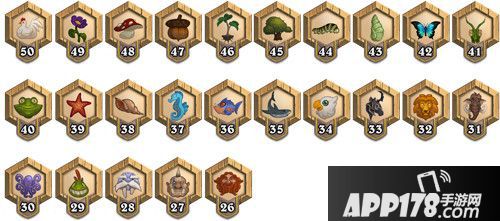 炉石传说新版迎新