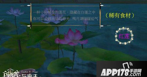 创造与魔法红莲是什么