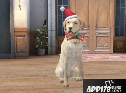 明日之后金苹果银苹果获得方法