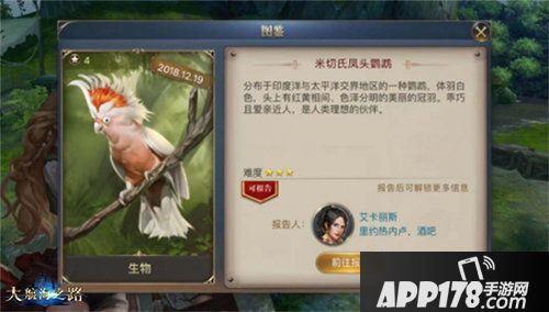 大航海之路新增发现物一览