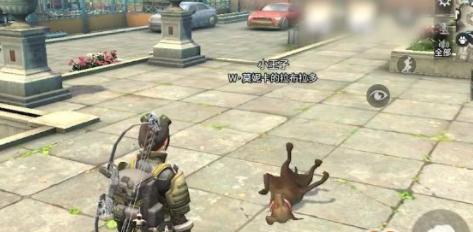 明日之后宠物狗的作用和玩法，游戏太好玩啦