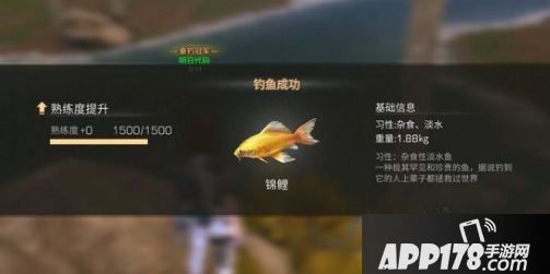 明日之后锦鲤用什么鱼饵钓