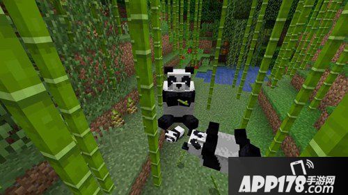 我的世界全新熊猫版本更新